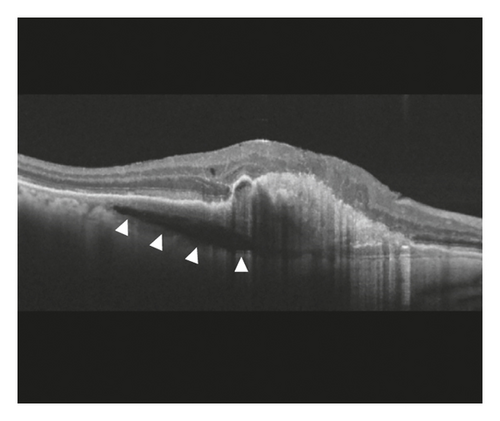 Details are in the caption following the image Details are in the caption following the image