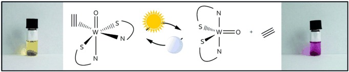 Towards Structural-Functional Mimics of Acetylene Hydratase: Reversible Activation of Acetylene using a Biomimetic Tungsten Complex