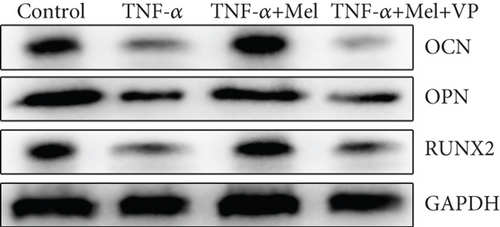 Details are in the caption following the image