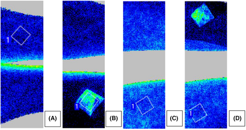 Details are in the caption following the image Details are in the caption following the image