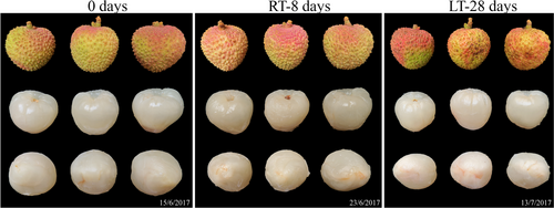 Details are in the caption following the image Details are in the caption following the image