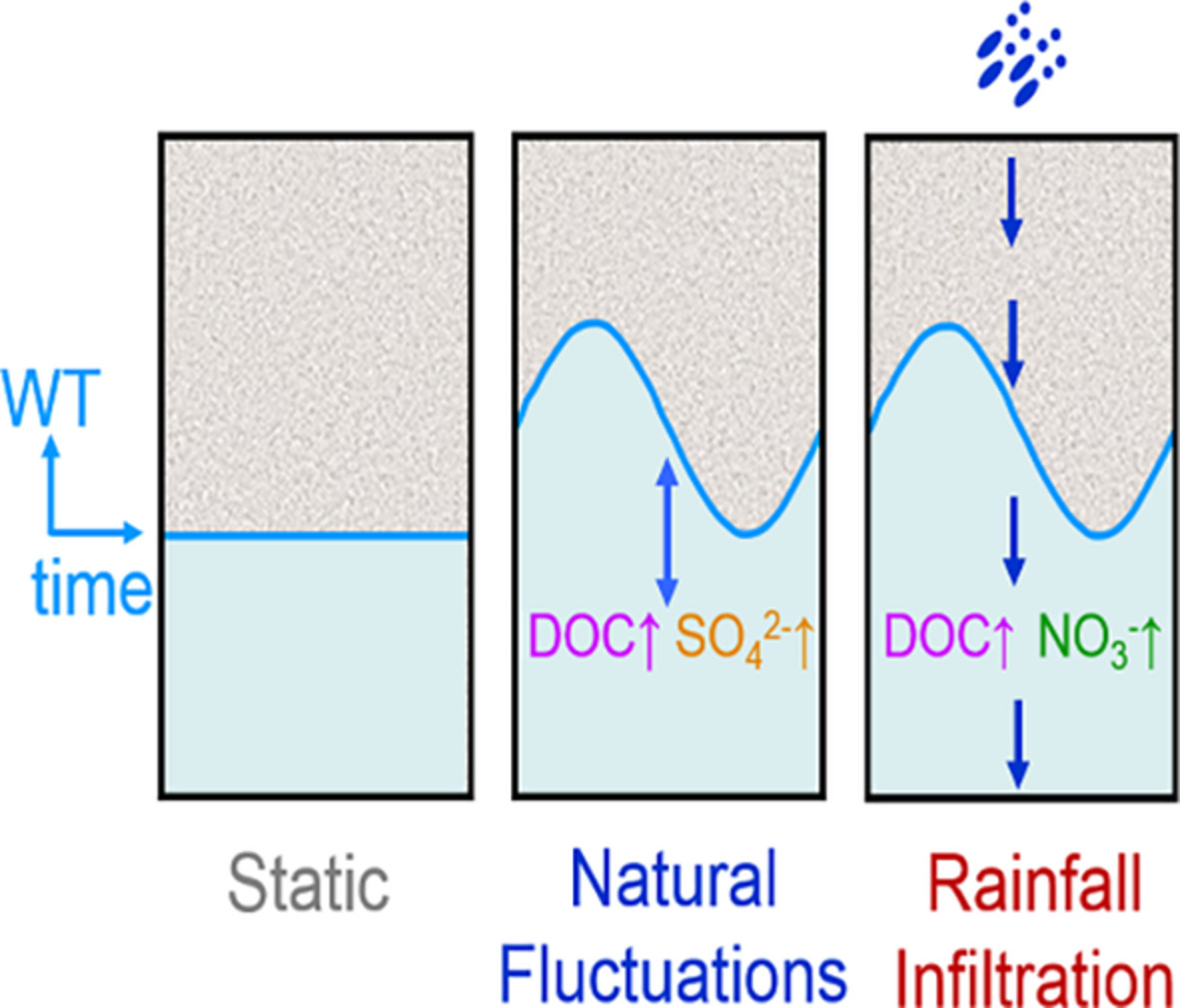 Changes in groundwater bacterial community during cyclic groundwater-table variations