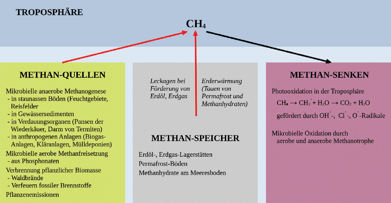 Biogene Phosphonate: Methan-Emission durch mikrobielle Phosphorgewinnung