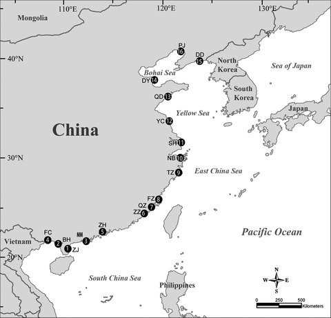 Latitudinal variation in nematode diversity and ecological roles along the Chinese coast