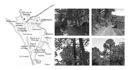Details are in the caption following the image