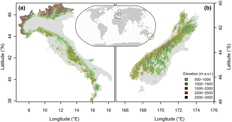 Topoclimate effect on treeline elevation depends on the regional framework: A contrast between Southern Alps (New Zealand) and Apennines (Italy) forests