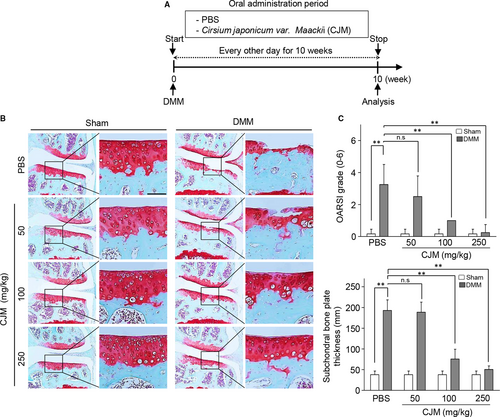 Details are in the caption following the image Details are in the caption following the image
