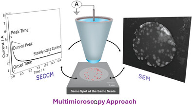 Deciphering Spatially-Resolved Electrochemical Nucleation and Growth Kinetics by Correlative Multimicroscopy