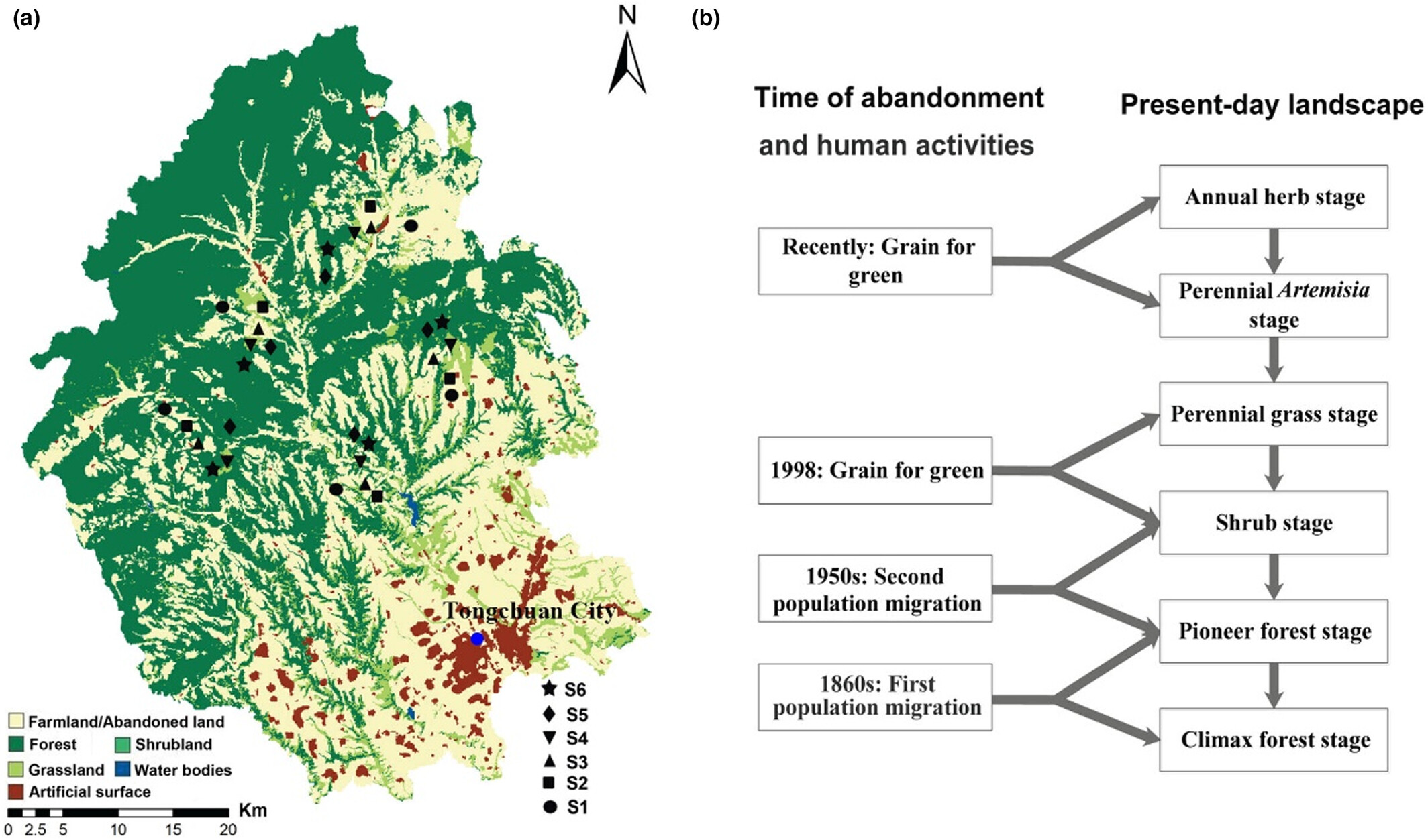 Partitioning and integrating of plant traits and phylogeny in assessing diversity along secondary forest succession in Loess Plateau of China