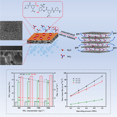 Nitrate rejection of sulfonic acid group incorporated polyethersulfone-type nanofiltration membrane and reutilization of the concentrated solution
