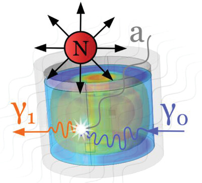 Sensitivity of Resonant Axion Haloscopes to Quantum Electromagnetodynamics