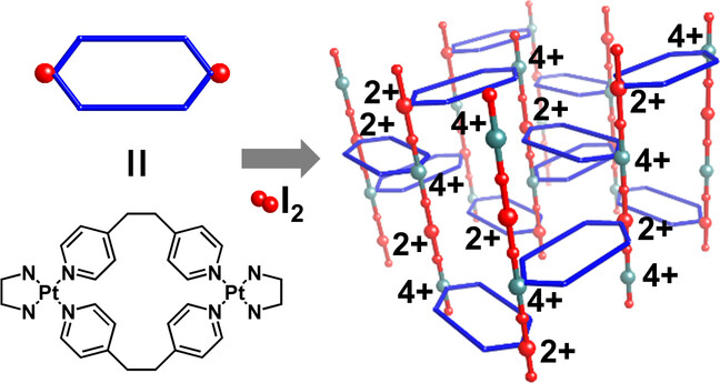 A Three-Dimensionally Extended Metal–Organic Ladder Compound Exhibiting Proton Conduction