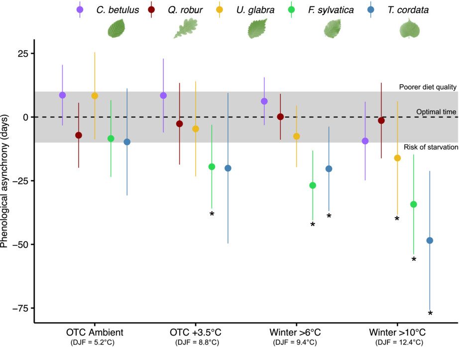 Feasting on the ordinary or starving for the exceptional in a warming climate: Phenological synchrony between spongy moth (Lymantria dispar) and budburst of six European tree species