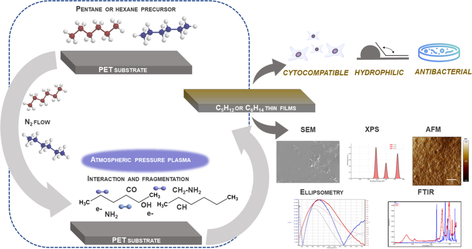 Plasma Polymerization of Pentane and Hexane for Antibacterial and Biocompatible Thin Films