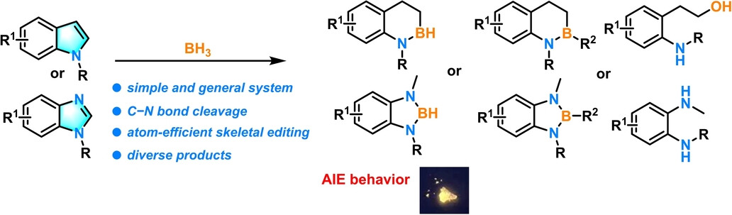 Skeletal Editing of Aromatic N-Heterocycles via Hydroborative Cleavage of C−N Bonds—Scope, Mechanism, and Property