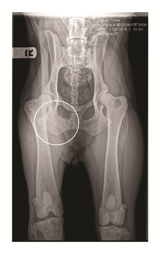 Details are in the caption following the image Details are in the caption following the image