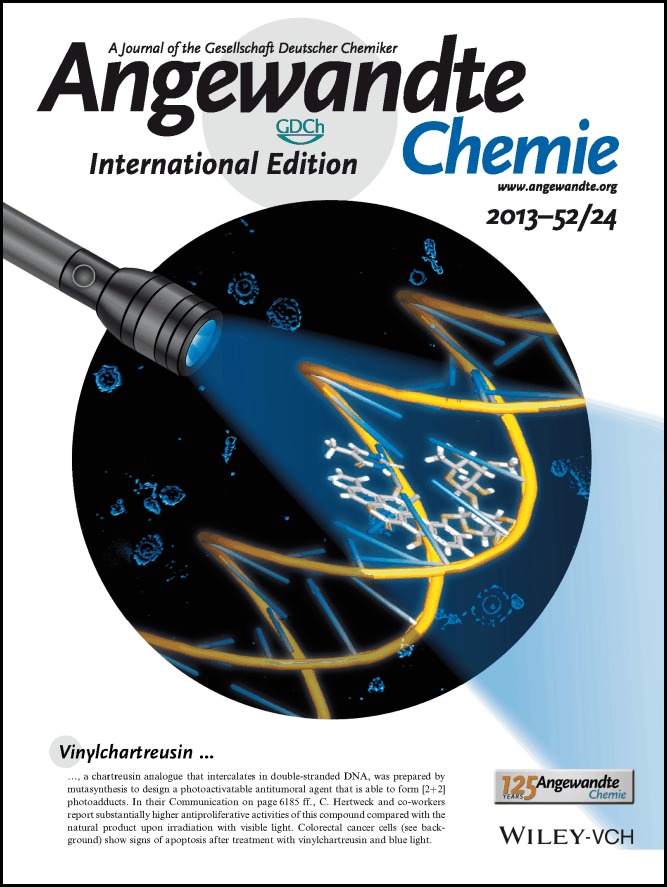 Inside Cover: Rational Design of an Apoptosis-Inducing Photoreactive DNA Intercalator (Angew. Chem. Int. Ed. 24/2013)