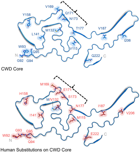 Details are in the caption following the image