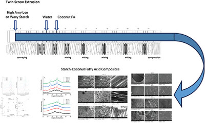 Preparation of Starch Coconut Fatty Acid Inclusion Complexes by Twin-Screw Extrusion