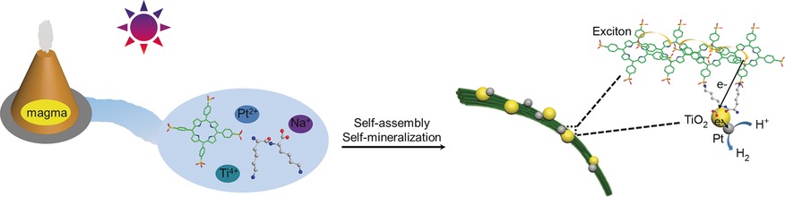 Mimicking Primitive Photobacteria: Sustainable Hydrogen Evolution Based on Peptide–Porphyrin Co-Assemblies with a Self-Mineralized Reaction Center