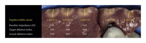 Details are in the caption following the image Details are in the caption following the image
