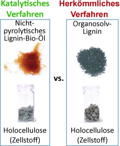 Catalytic Biorefining of Plant Biomass to Non-Pyrolytic Lignin Bio-Oil and Carbohydrates through Hydrogen Transfer Reactions