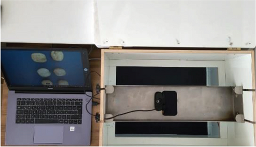 Details are in the caption following the image Details are in the caption following the image