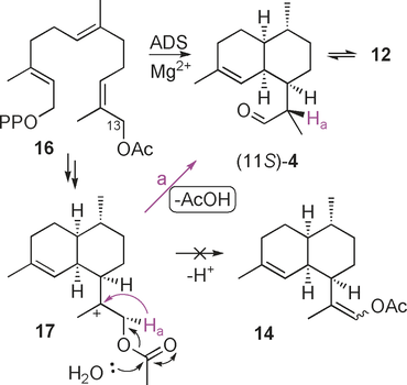Details are in the caption following the image