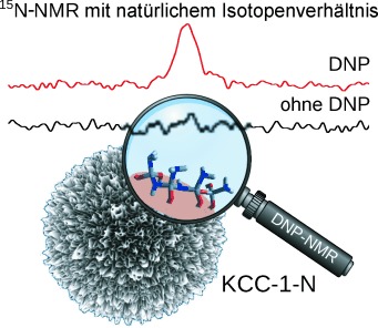 Insights into the Catalytic Activity of Nitridated Fibrous Silica (KCC-1) Nanocatalysts from 15N and 29Si NMR Spectroscopy Enhanced by Dynamic Nuclear Polarization