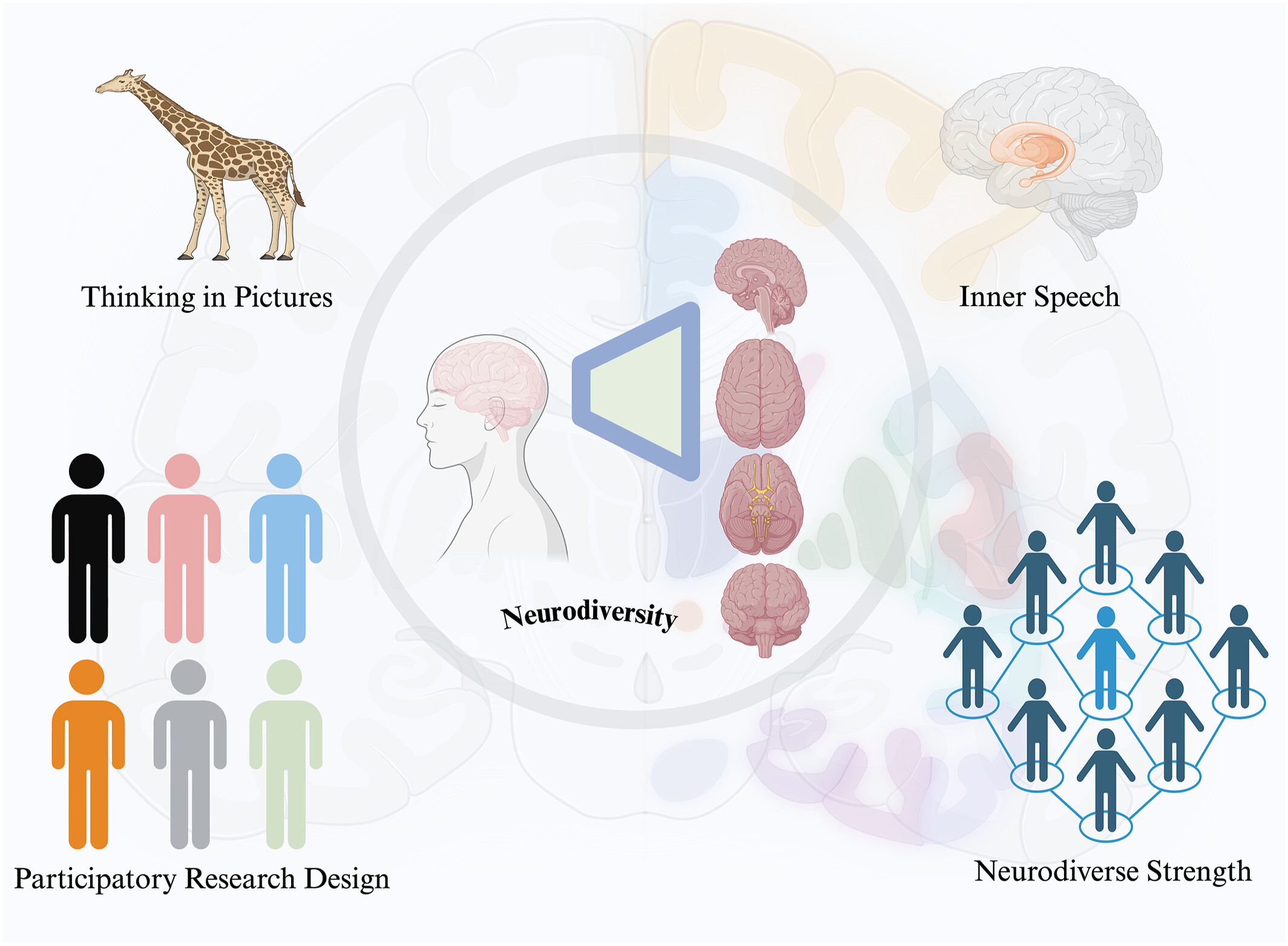 Why we need neurodiversity in brain and behavioral sciences