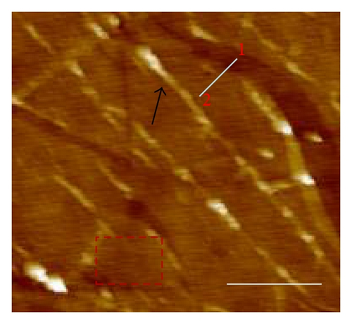 Details are in the caption following the image