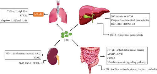 Details are in the caption following the image Details are in the caption following the image