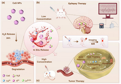 In Situ Slow-Release Hydrogen Sulfide Therapeutics for Advanced Disease Treatments