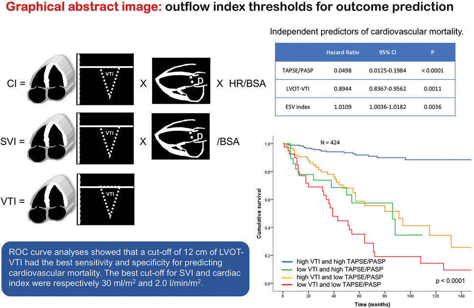 Left Ventricular Outflow Indices in Chronic Systolic Heart Failure: Thresholds and Prognostic Value