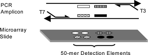 Details are in the caption following the image