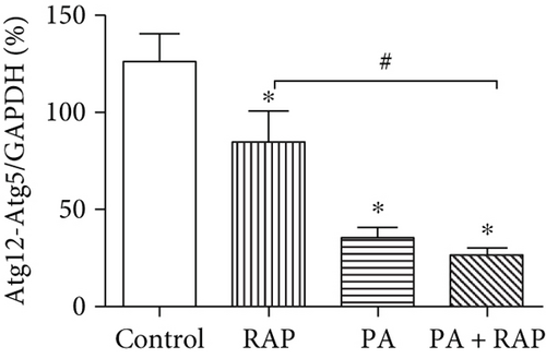 Details are in the caption following the image