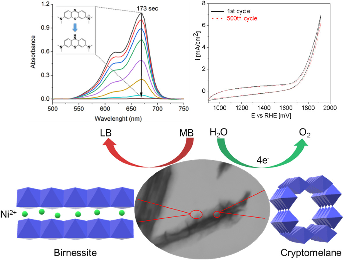 Cryptomelane nanorods coated with Ni ion doped Birnessite polymorphs as bifunctional efficient catalyst for the oxygen evolution reaction and degradation of organic contaminants