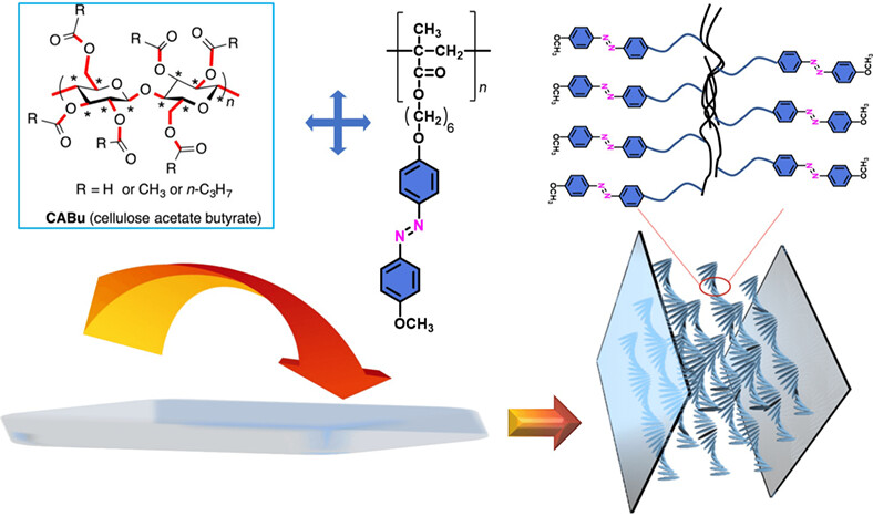 Chiroptical Generation, Switching, and Long-Term Memory in Supramolecular Azobenzene-Pendant Polymer: Regulation by Cellulose Peralkyl Esters, D-/L-Glucose Permethyl Esters, Solvents, UV Light Irradiation, and Thermal Annealing Process†