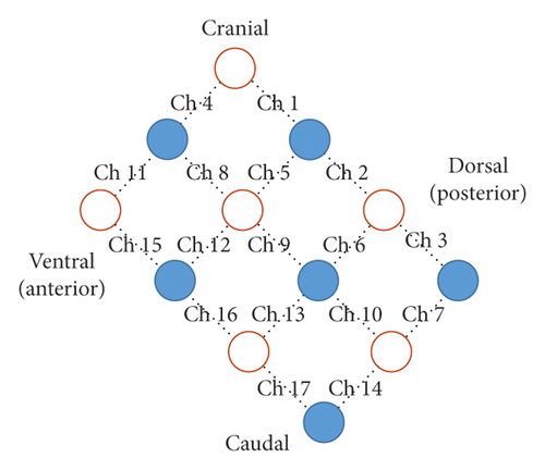 Details are in the caption following the image Details are in the caption following the image