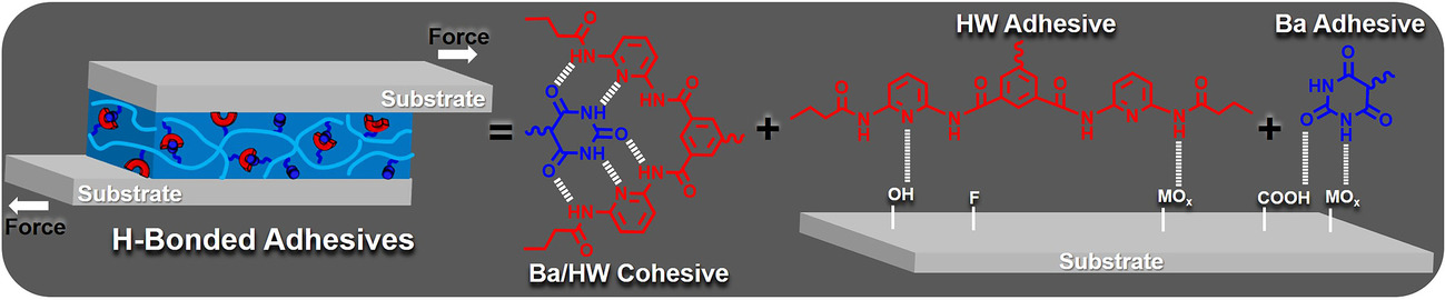 Hydrogen-Bonded Supramolecular Polymer Adhesives: Straightforward Synthesis and Strong Substrate Interaction