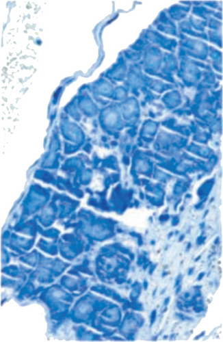 Details are in the caption following the image