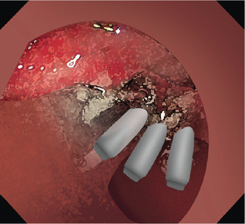 Details are in the caption following the image Details are in the caption following the image