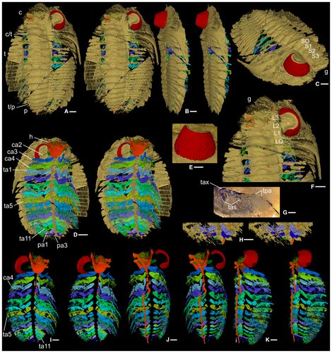 Details are in the caption following the image Details are in the caption following the image
