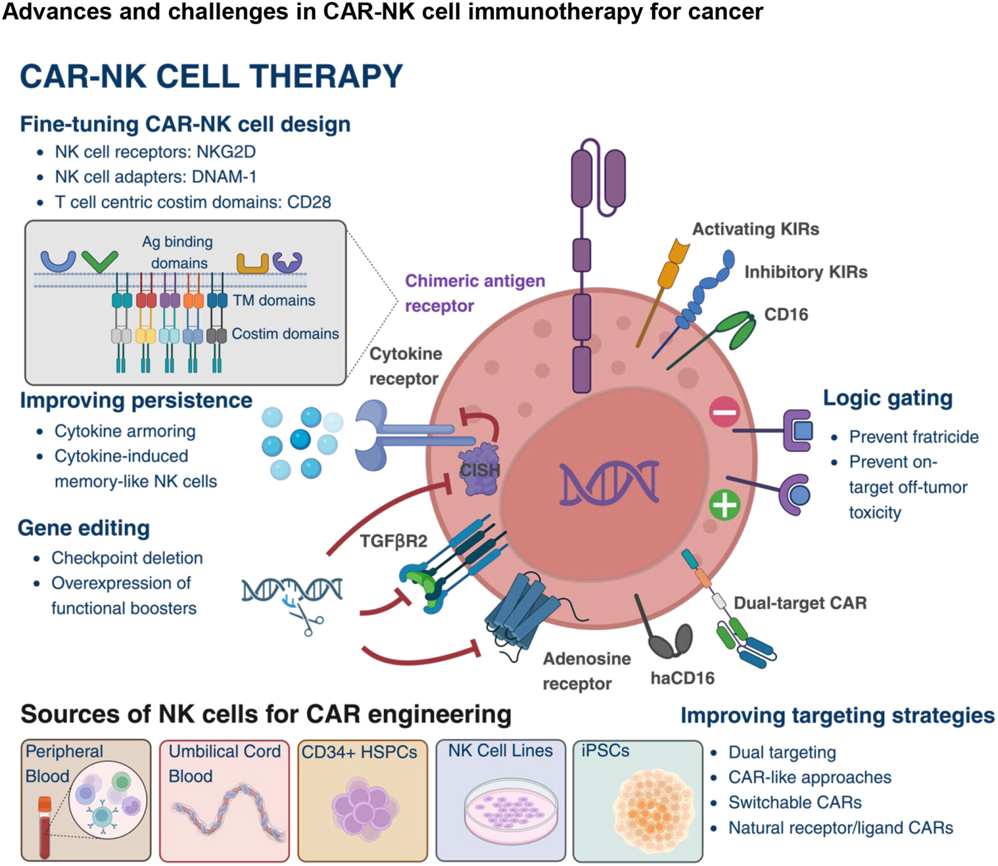 Advances and challenges in chimeric antigen receptor-natural killer cell immunotherapy for cancer