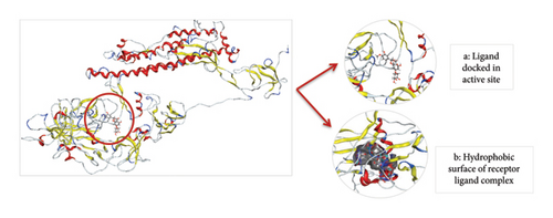 Details are in the caption following the image Details are in the caption following the image