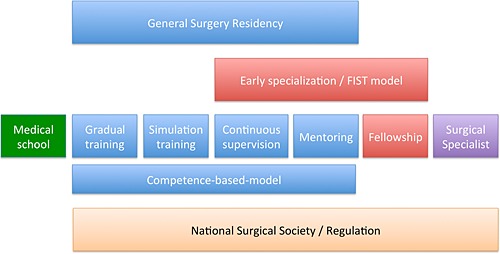 Training in hepato-pancreato-biliary surgery during residency: past, present and future perspectives