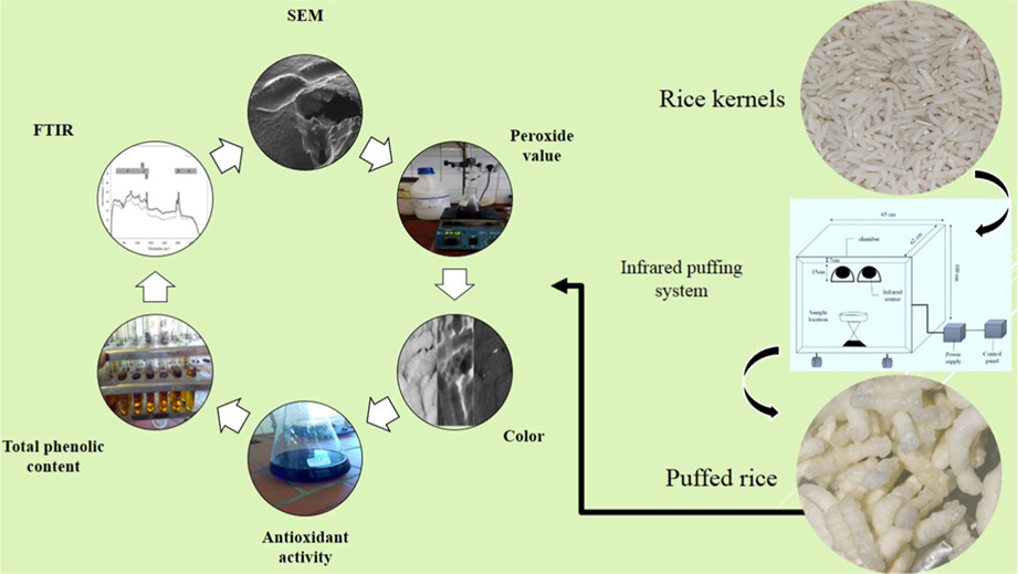 Novel infrared puffing: Effect on physicochemical attributes of puffed rice (Oryza sativa L.)