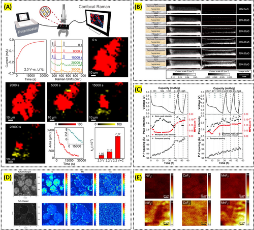 Details are in the caption following the image Details are in the caption following the image