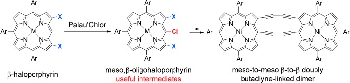 meso,β-Oligohaloporphyrins as Useful Synthetic Intermediates of Diphenylamine-Fused Porphyrin and meso-to-meso β-to-β Doubly Butadiyne-Bridged Diporphyrin