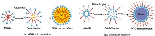 Details are in the caption following the image